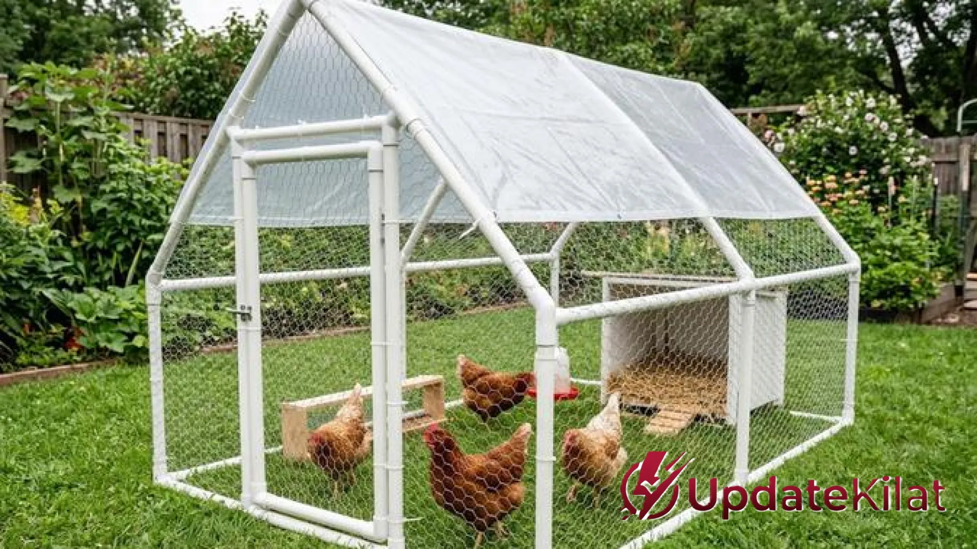 Investasi Cerdas Peternak: 8 Pilihan Rangka Kandang Ayam Paling Tangguh, Ringan, dan Ramah di Kantong