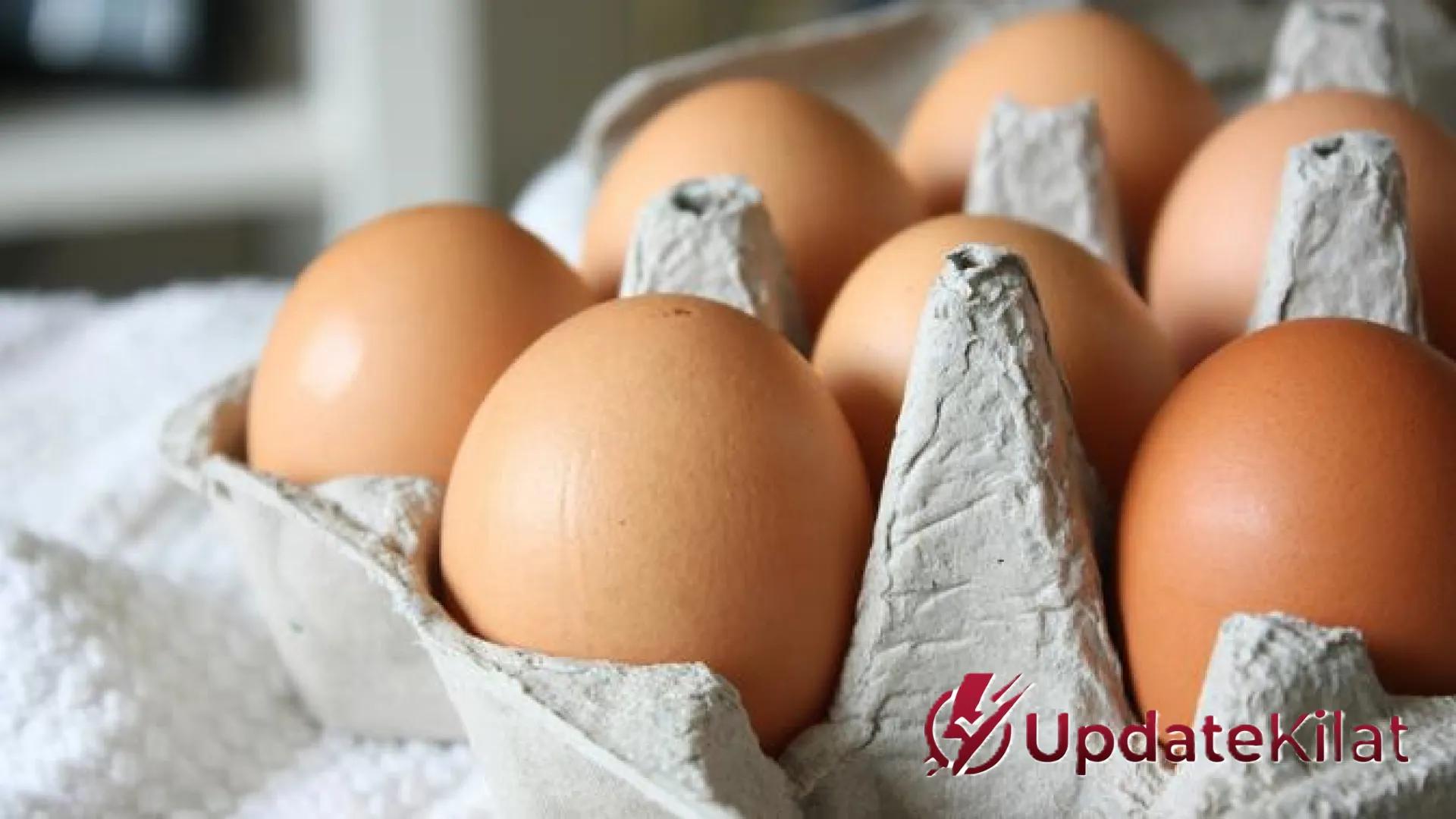 Jangan Dibuang! Ini 9 Cara Jenius Ubah Wadah Telur Bekas Jadi Barang Berharga