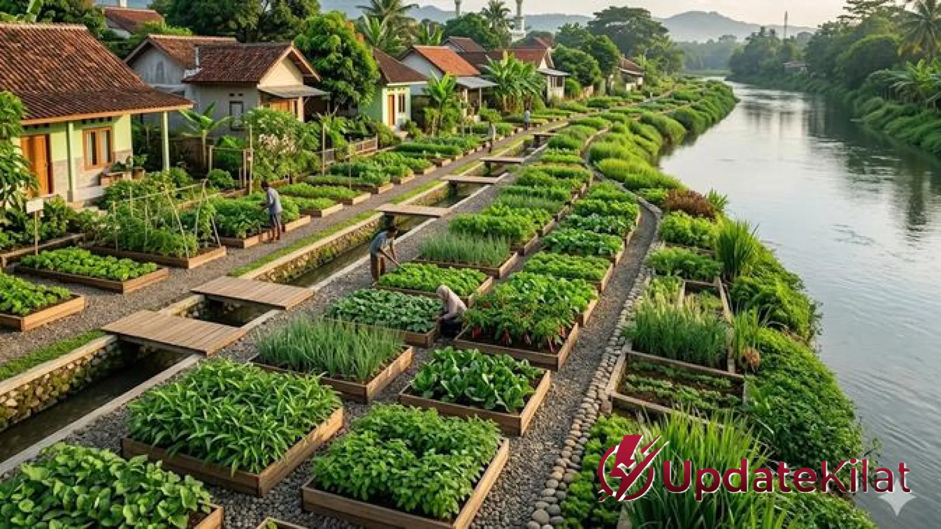 Menyulap Bantaran Sungai Menjadi Lumbung Pangan: 6 Inspirasi Kebun Sayur Kreatif yang Mengubah Wajah Kota