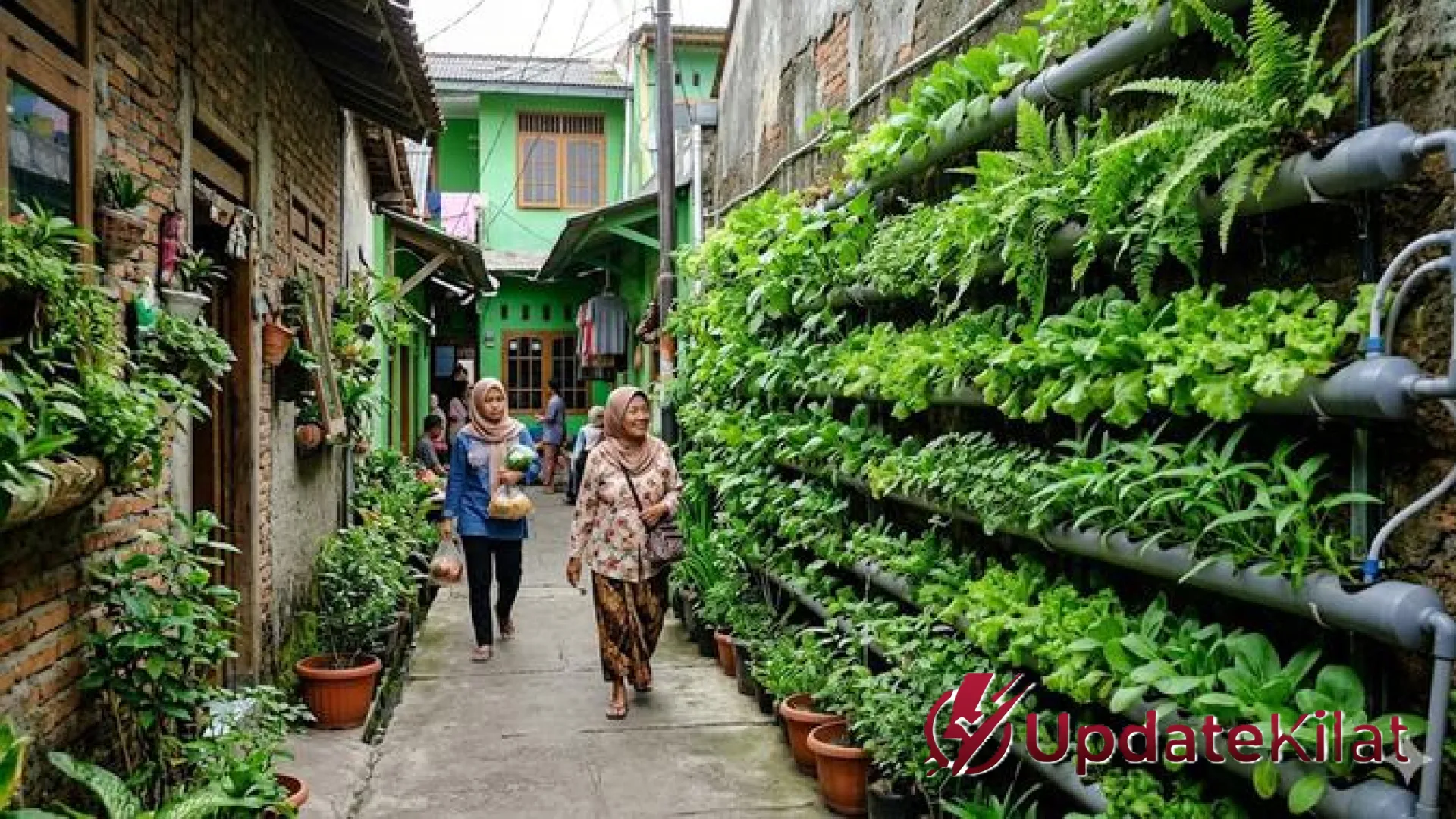 Menyulap Gang Sempit Jadi Oase Hijau: 10 Inspirasi Hidroponik Vertikal yang Estetik dan Produktif