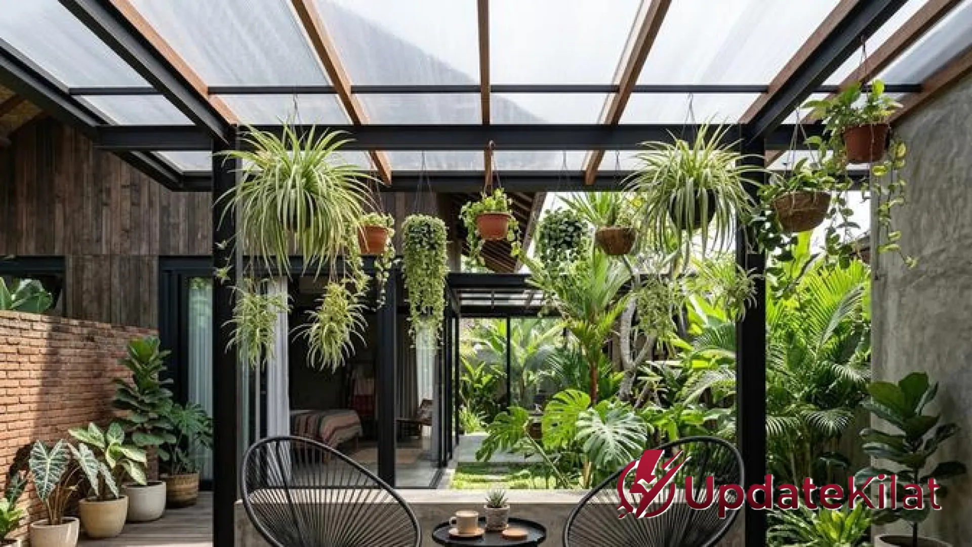 Oase Vertikal: Strategi Cerdas Menghias Rumah Minimalis dengan Tanaman Gantung