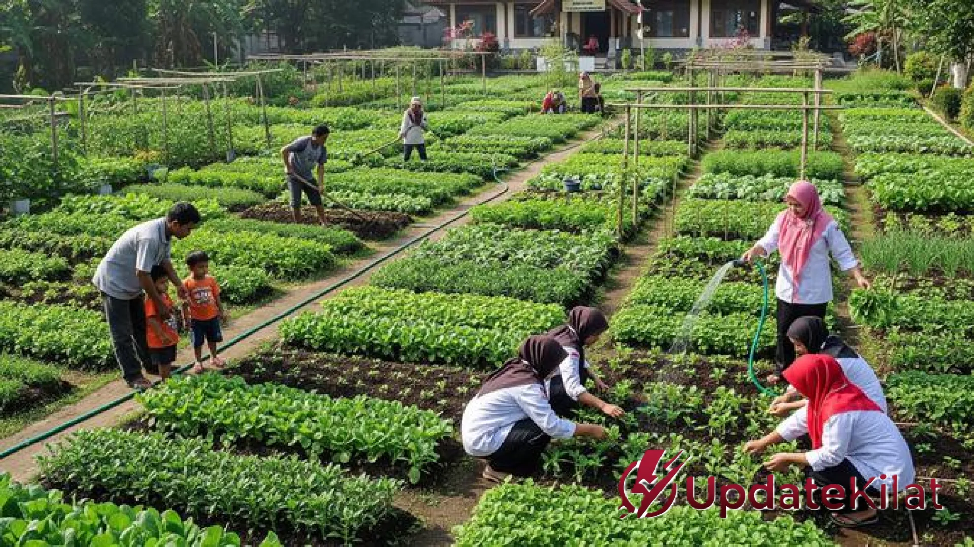 Optimalkan Lahan Desa: 7 Strategi Kebun Sayur Kolektif untuk Ketahanan Pangan Warga