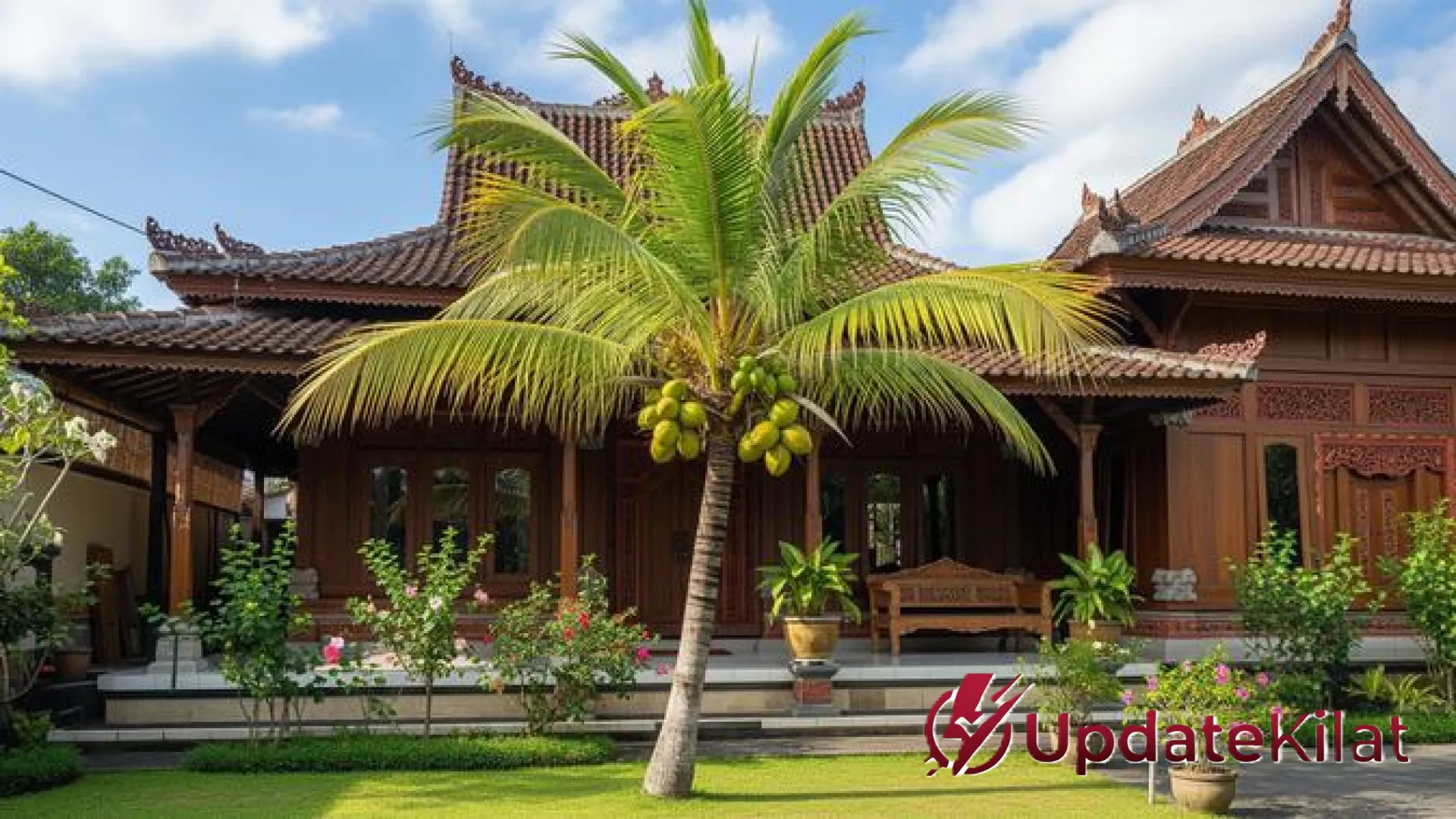 Rahasia Pohon Kelapa Berbuah Lebat Sepanjang Tahun: 7 Trik Jitu ala Petani Profesional