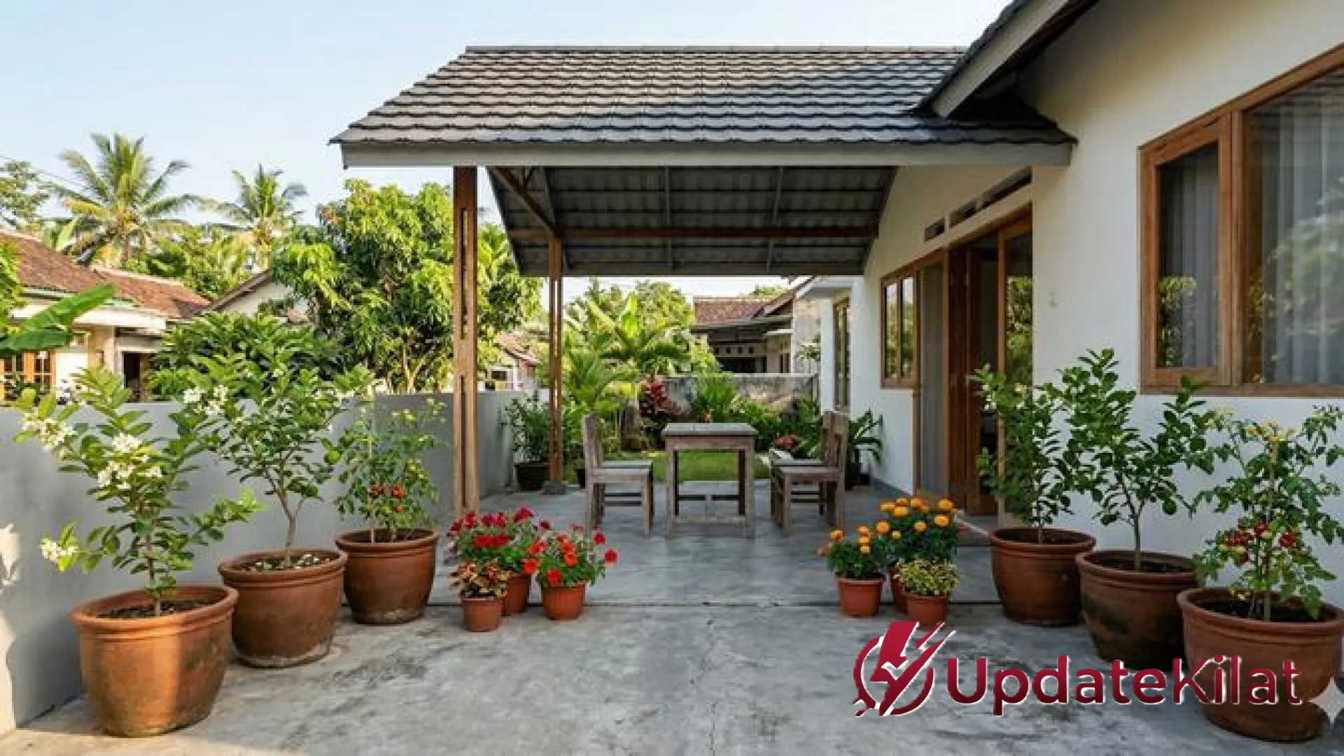 Rahasia Tabulampot Berbuah Lebat: 6 Strategi Jitu Merangsang Bunga Pohon Buah Mini di Lahan Sempit