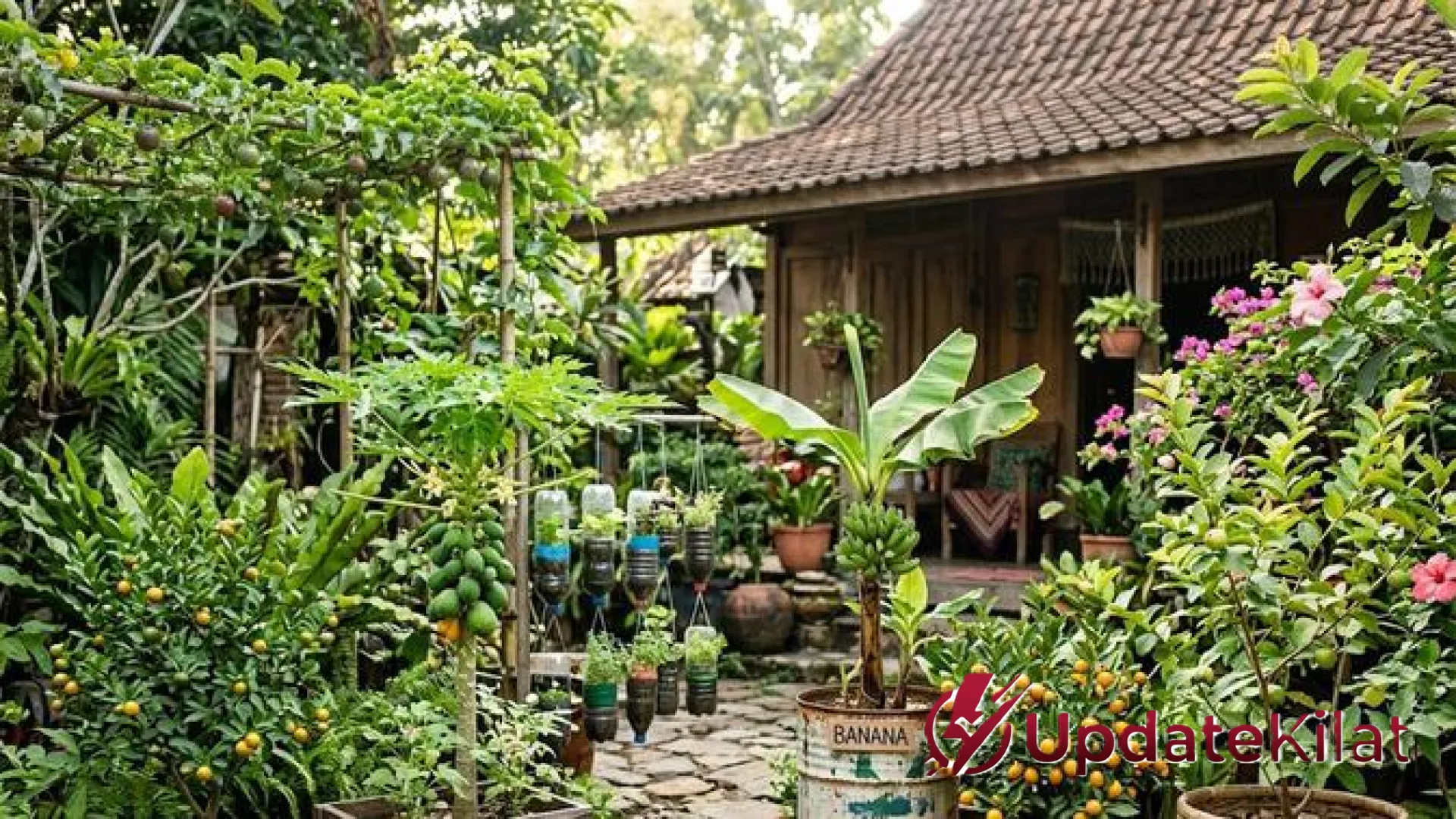 Revolusi Foodscaping: 8 Pohon Buah Mini Berdaun Unik untuk Hunian Estetik yang Cepat Panen