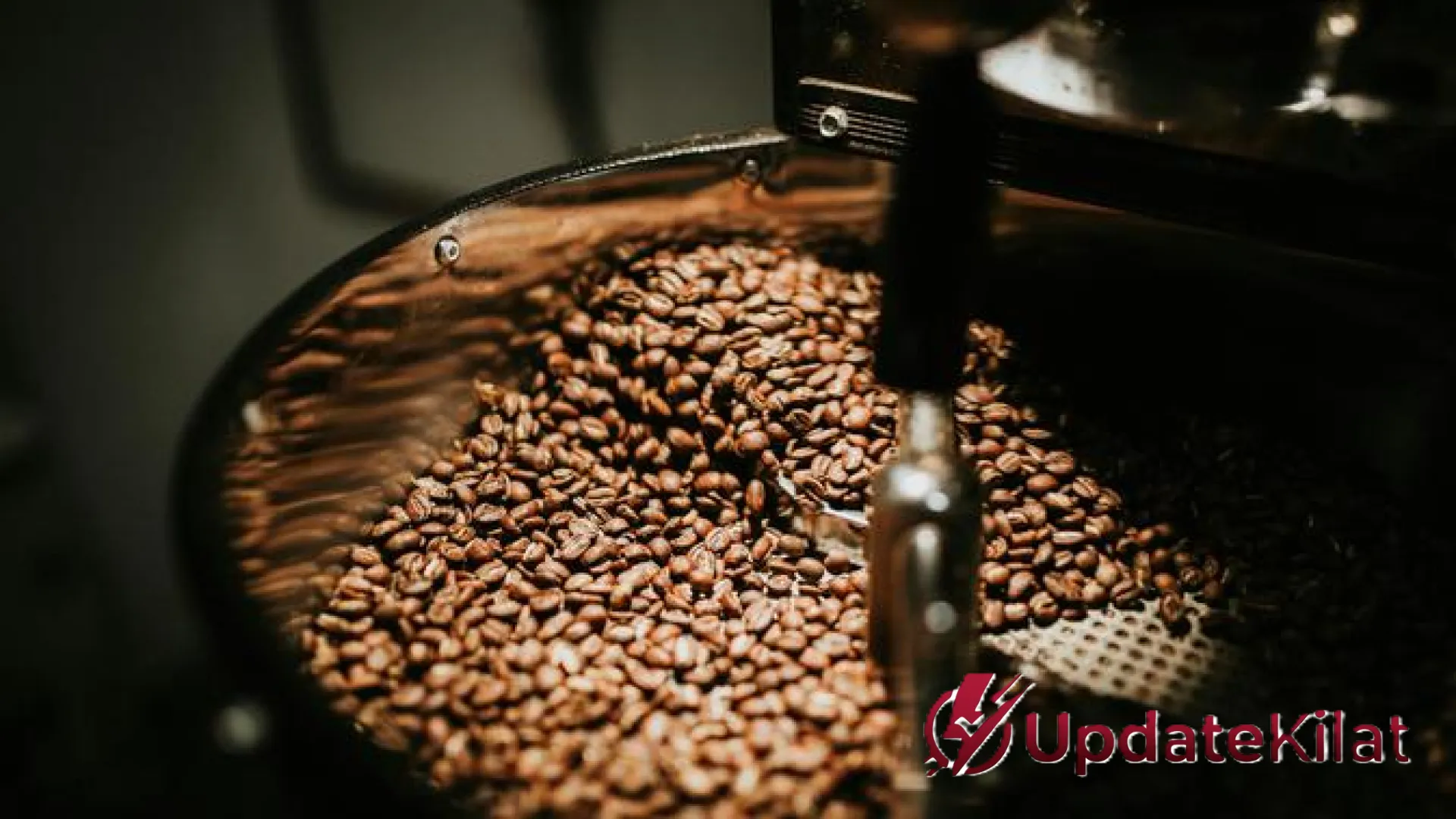 Robusta atau Arabica untuk Americano? Simak Panduan Lengkap dari Pakar Kopi Berikut Ini