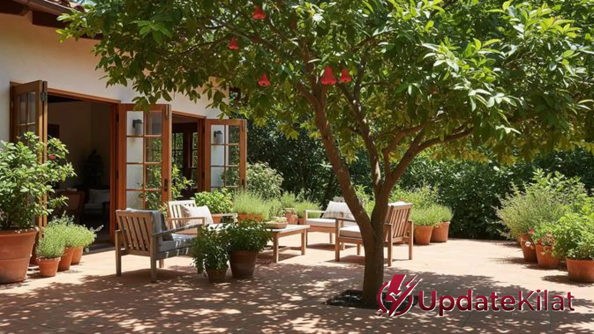 Solusi Berkebun di Lahan Terbatas: 6 Varietas Mangga Mini Terbaik untuk Pekarangan Kering