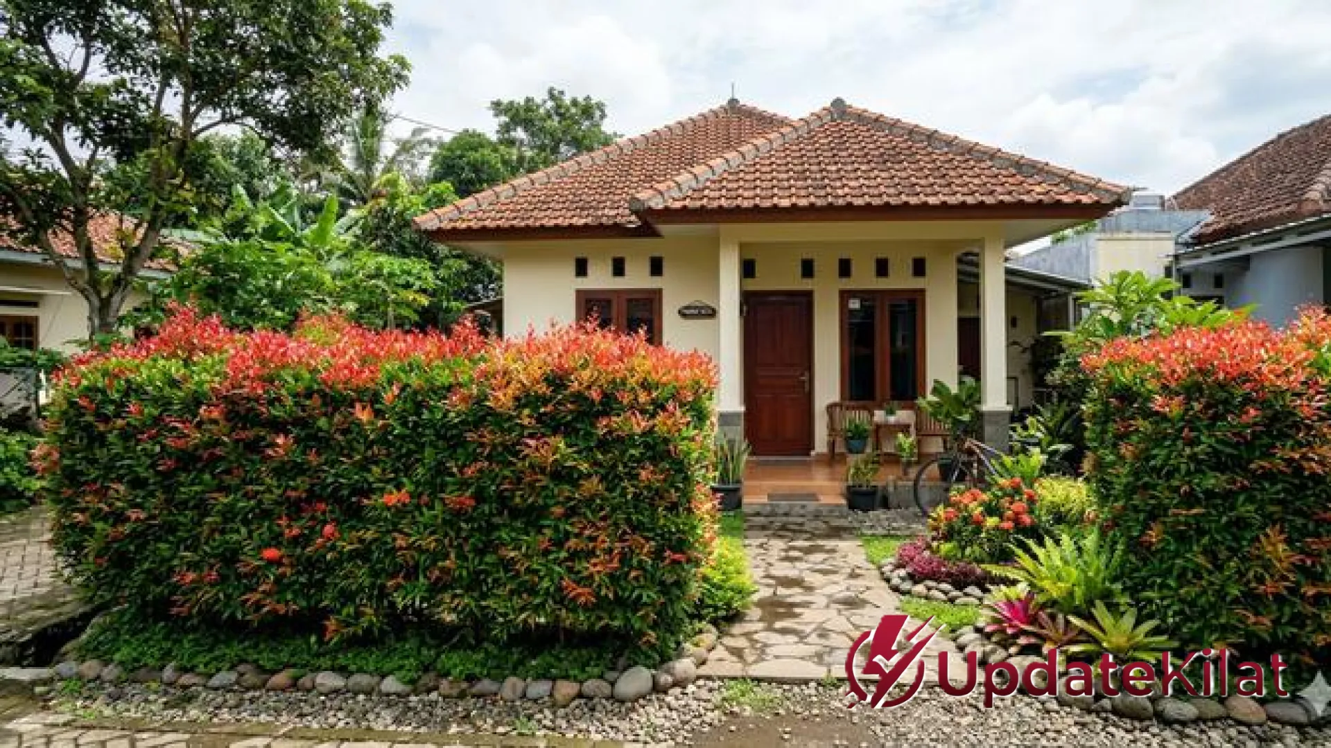 Sulap Hunian Jadi Asri: 9 Rekomendasi Tanaman Pagar Hidup Tangguh yang Tak Mudah Mati